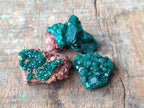Natural Mini Dioptase on Dolomite Specimens x 24 From Likasi, Congo