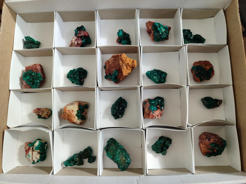 Natural Mini Dioptase on Dolomite Specimens x 24 From Likasi, Congo
