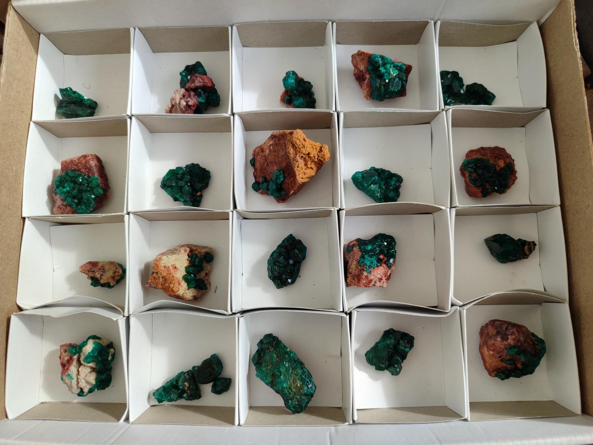 Natural Mini Dioptase on Dolomite Specimens x 24 From Likasi, Congo