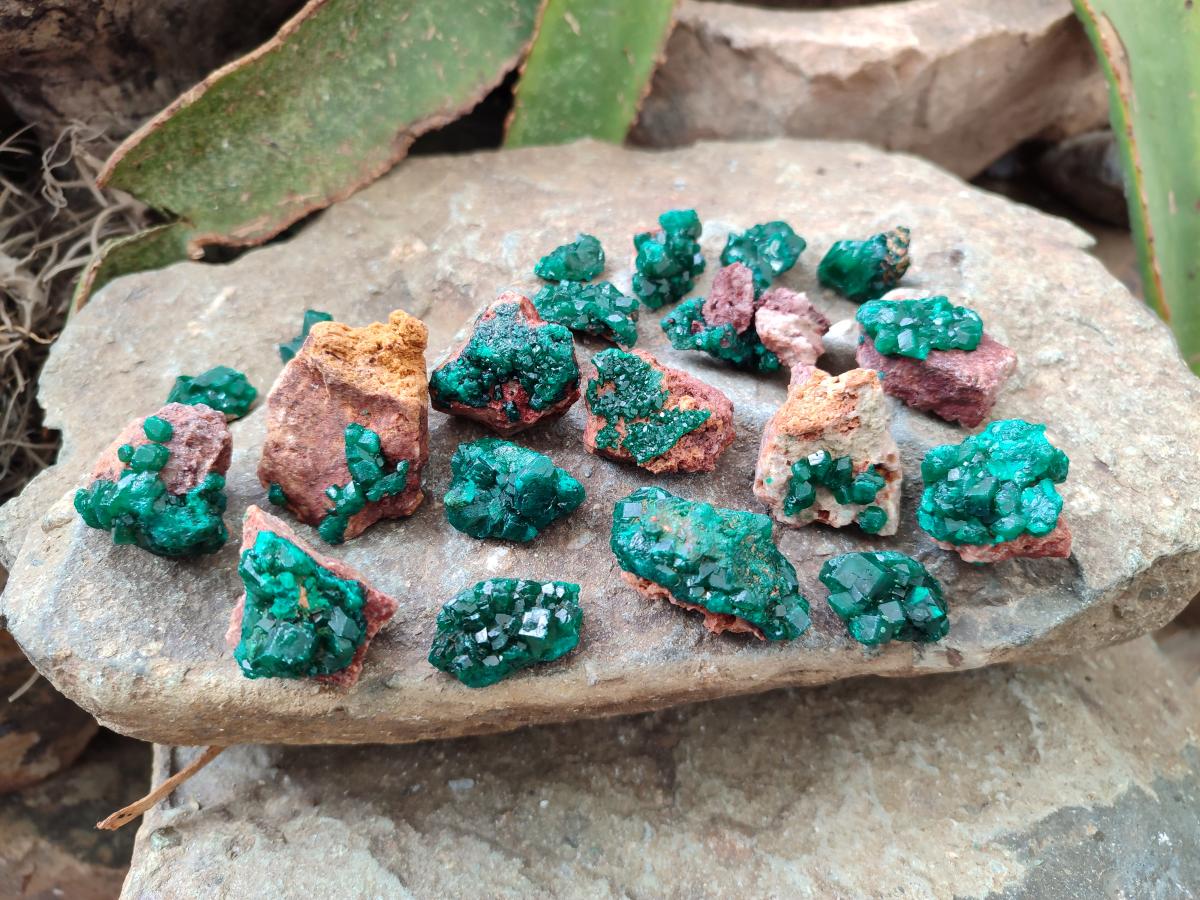 Natural Mini Dioptase on Dolomite Specimens x 24 From Likasi, Congo