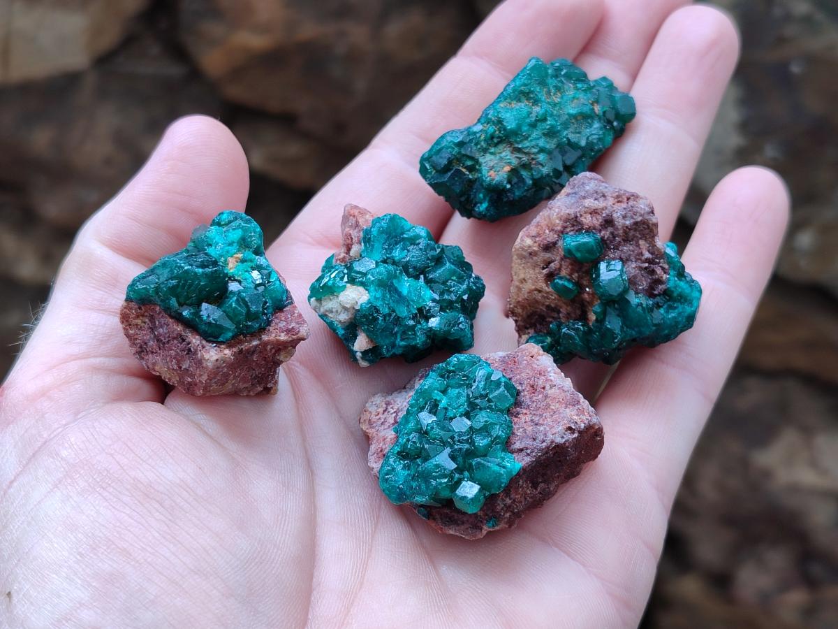 Natural Mini Dioptase on Dolomite Specimens x 24 From Likasi, Congo