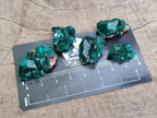 Natural Mini Dioptase on Dolomite Specimens x 24 From Likasi, Congo