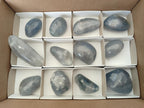 Polished Rare Blue Celestite Free Form Crystals x 12 From Sakoany, Madagascar