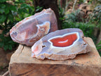 Polished Red Shashe River Agate Nodules x 2 From Shashe River, Zimbabwe