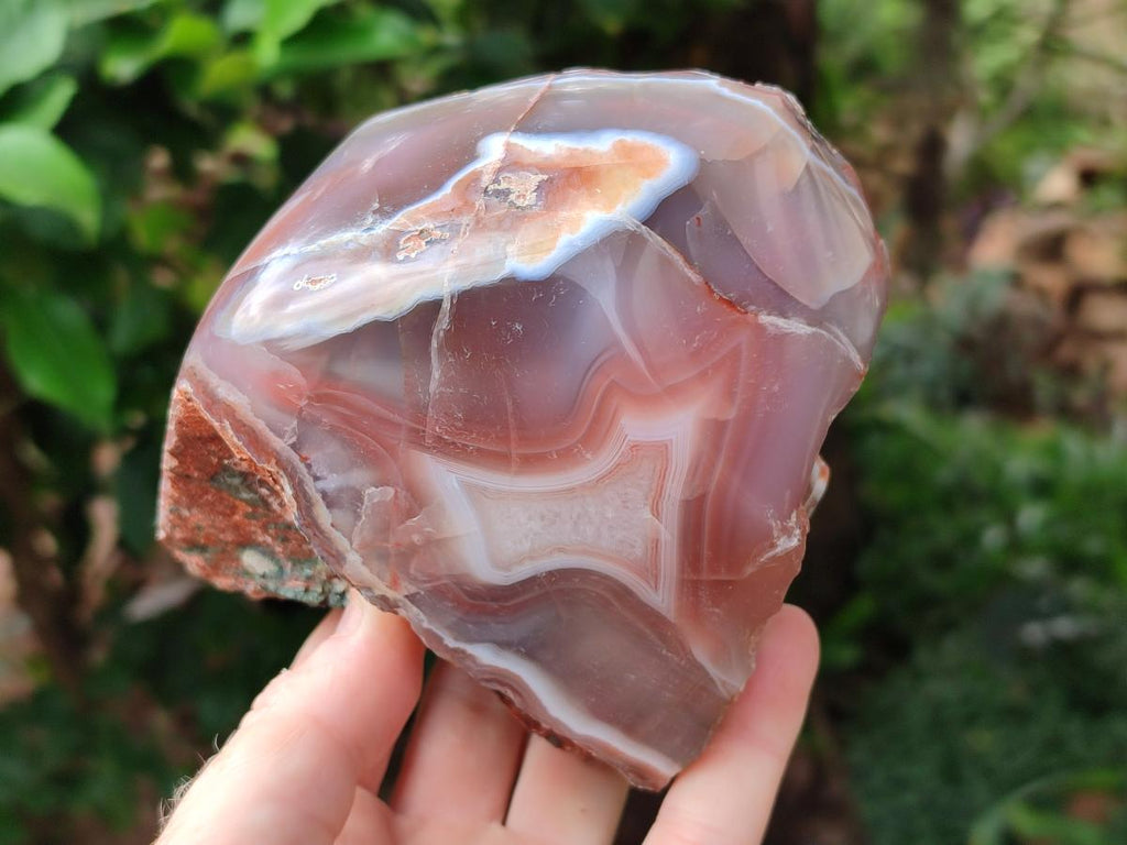 Polished Red Shashe River Agate Nodules x 2 From Shashe River, Zimbabwe