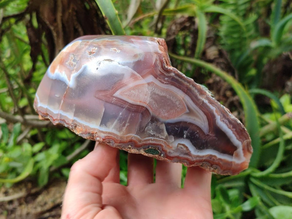 Polished Red Shashe River Agate Nodules x 2 From Shashe River, Zimbabwe