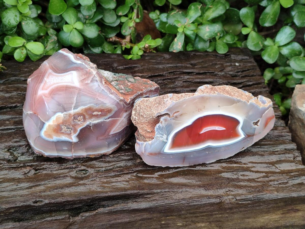 Polished Red Shashe River Agate Nodules x 2 From Shashe River, Zimbabwe