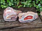 Polished Red Shashe River Agate Nodules x 2 From Shashe River, Zimbabwe