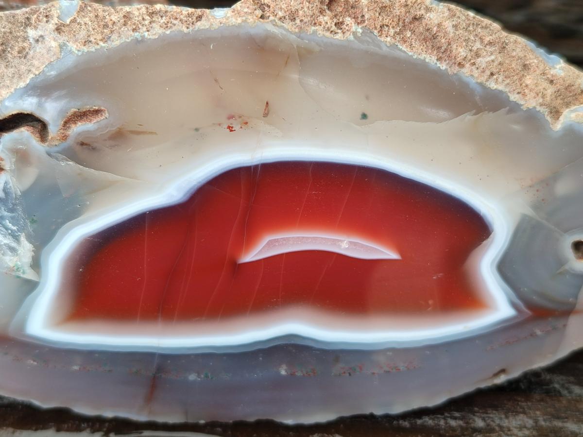 Polished Red Shashe River Agate Nodules x 2 From Shashe River, Zimbabwe