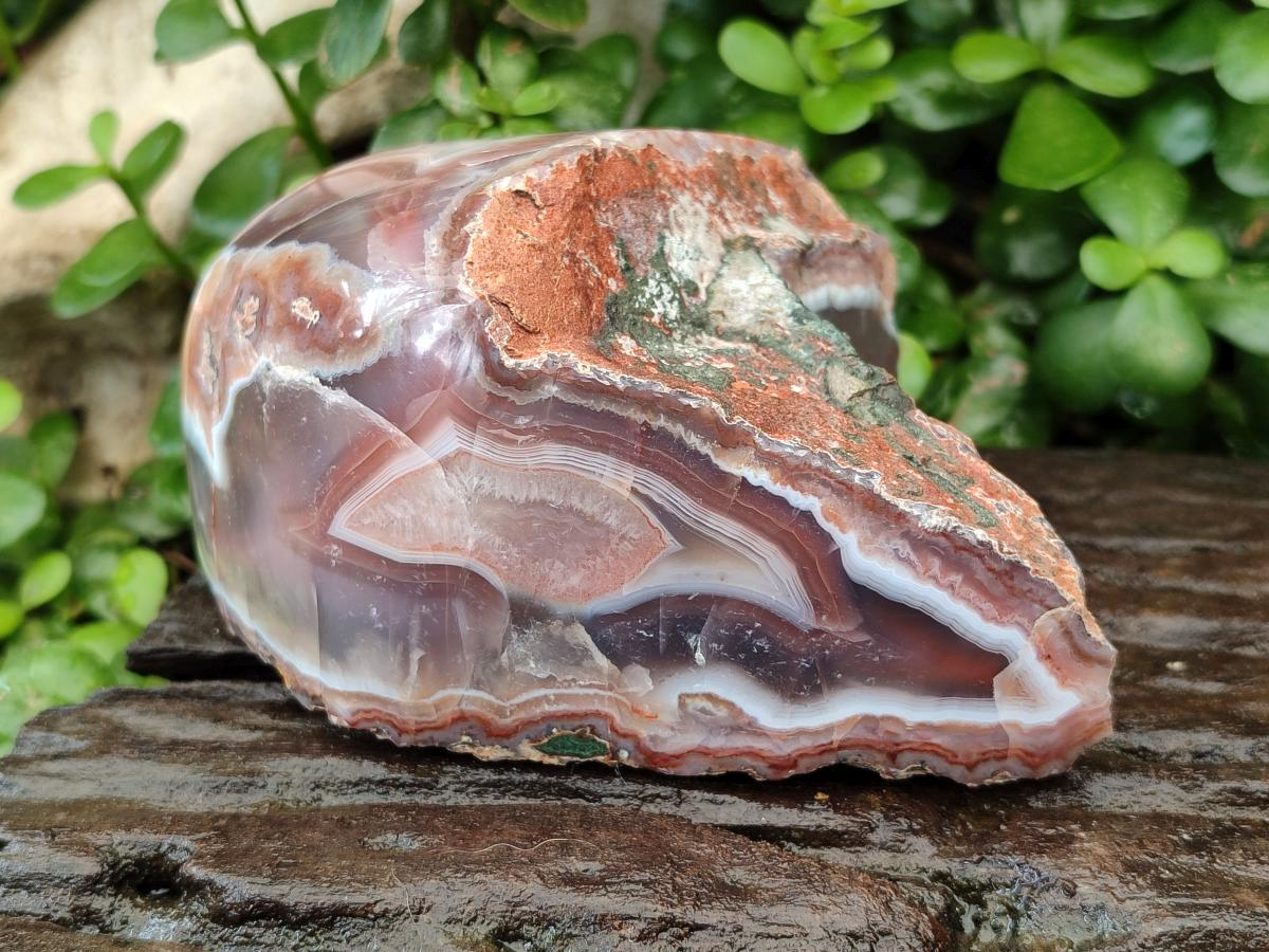Polished Red Shashe River Agate Nodules x 2 From Shashe River, Zimbabwe