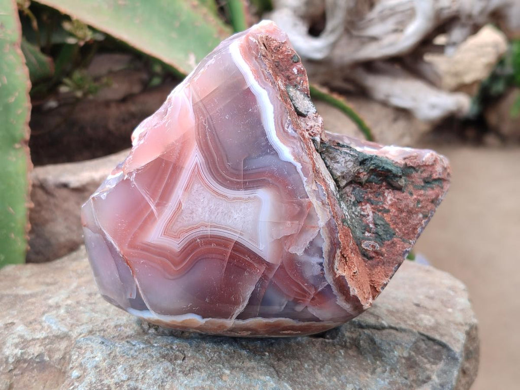Polished Red Shashe River Agate Nodules x 2 From Shashe River, Zimbabwe
