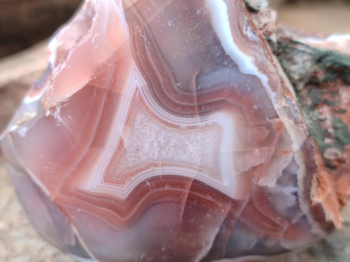 Polished Red Shashe River Agate Nodules x 2 From Shashe River, Zimbabwe