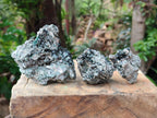 Natural Libethenite Crystals On Dolomite Matrix Specimens x 7 From Shituru, Congo