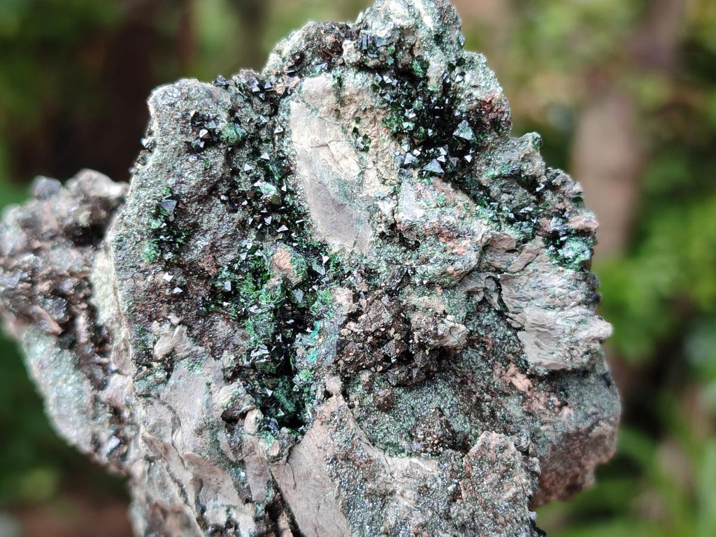 Natural Libethenite Crystals On Dolomite Matrix Specimens x 7 From Shituru, Congo