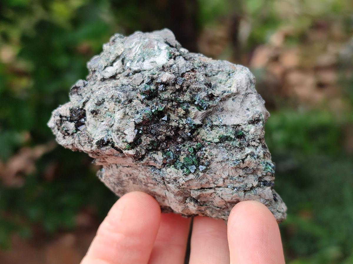 Natural Libethenite Crystals On Dolomite Matrix Specimens x 7 From Shituru, Congo