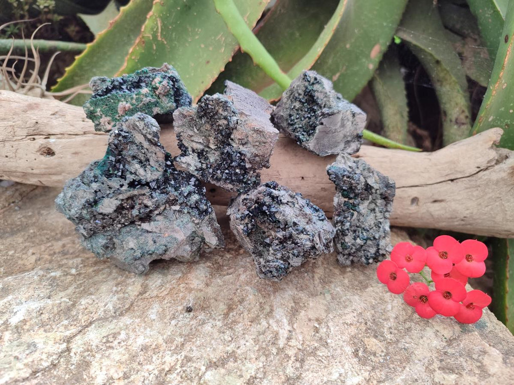 Natural Libethenite Crystals On Dolomite Matrix Specimens x 7 From Shituru, Congo
