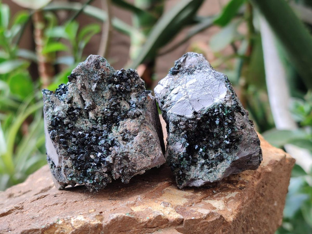 Natural Libethenite Crystals On Dolomite Matrix Specimens x 7 From Shituru, Congo