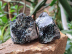 Natural Libethenite Crystals On Dolomite Matrix Specimens x 7 From Shituru, Congo