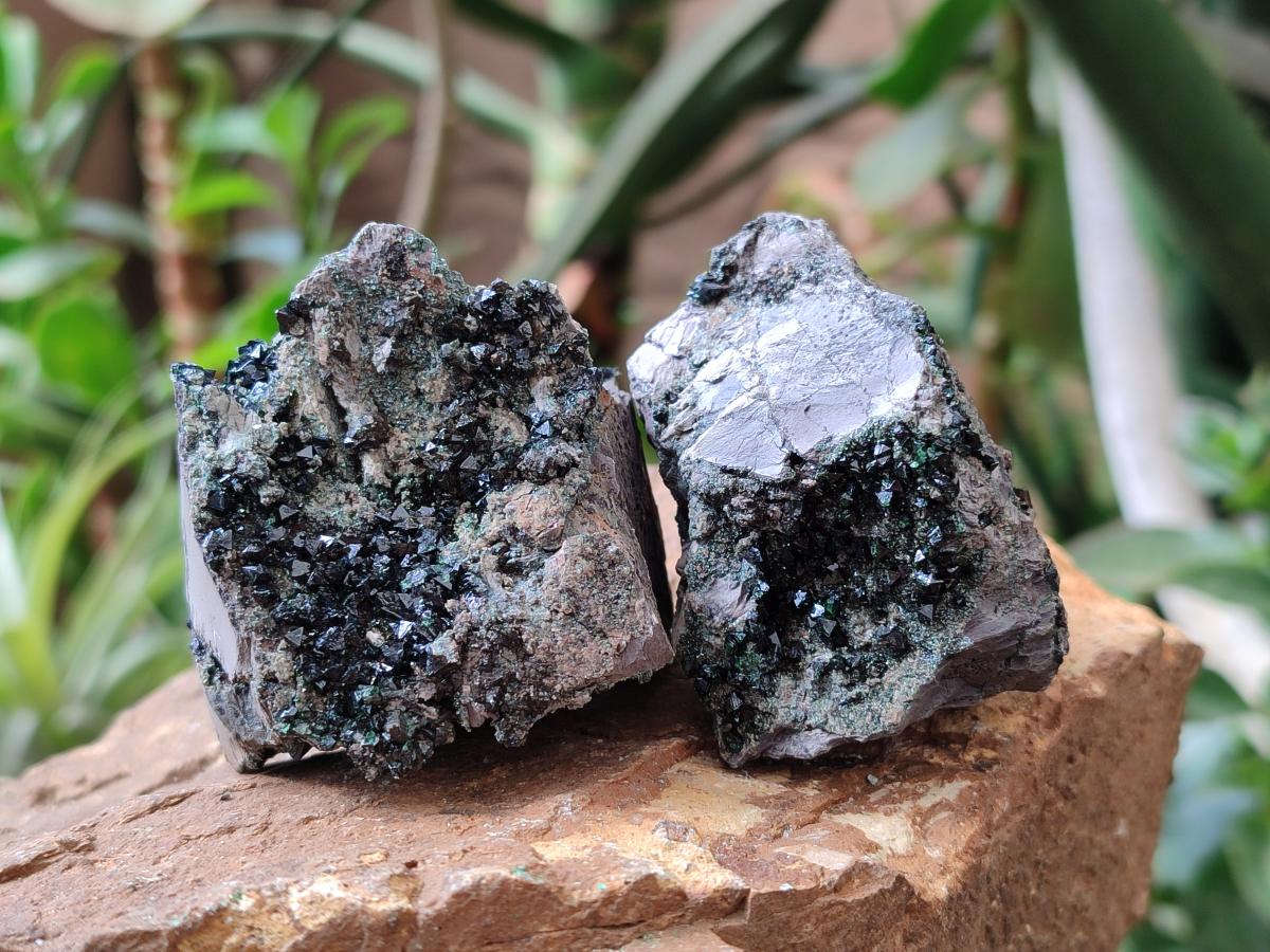 Natural Libethenite Crystals On Dolomite Matrix Specimens x 7 From Shituru, Congo