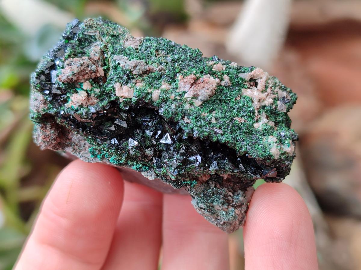 Natural Libethenite Crystals On Dolomite Matrix Specimens x 7 From Shituru, Congo