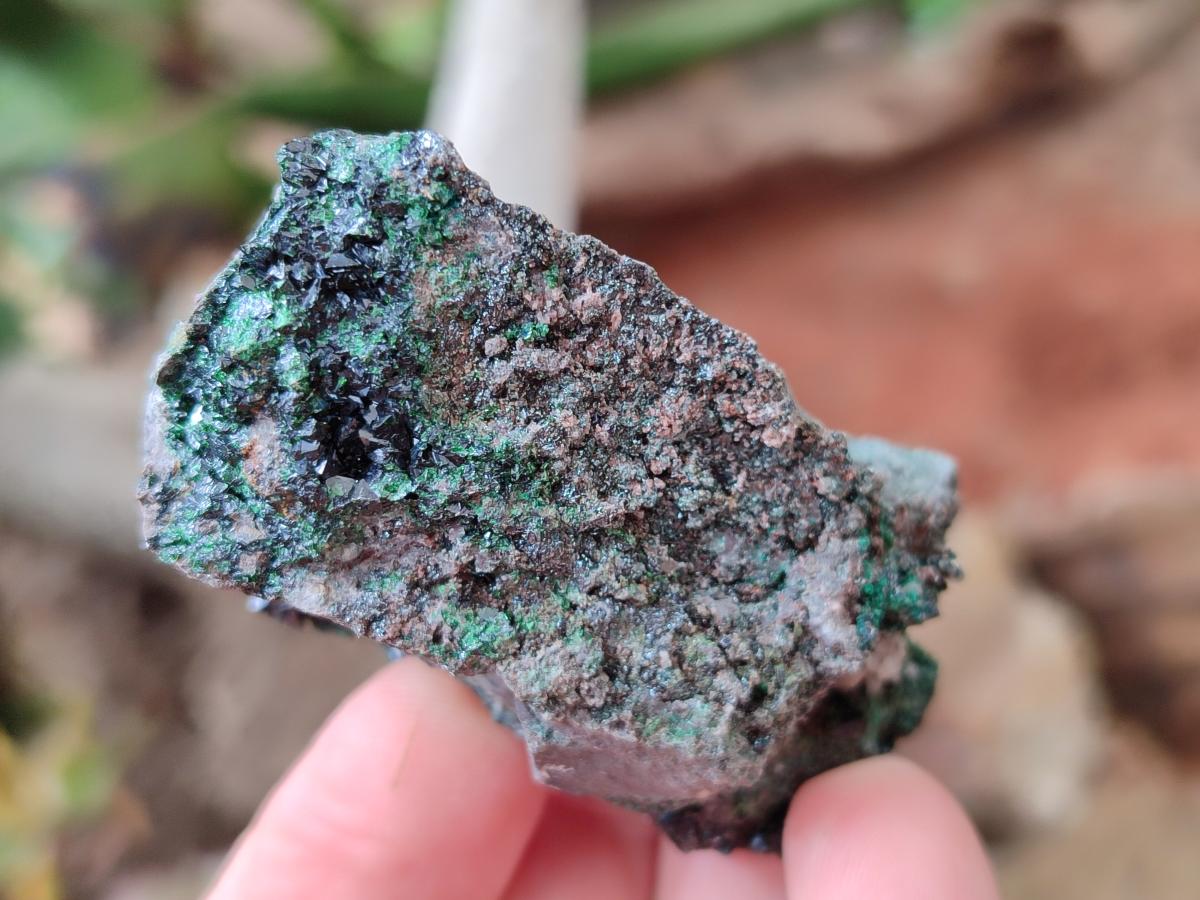 Natural Libethenite Crystals On Dolomite Matrix Specimens x 7 From Shituru, Congo