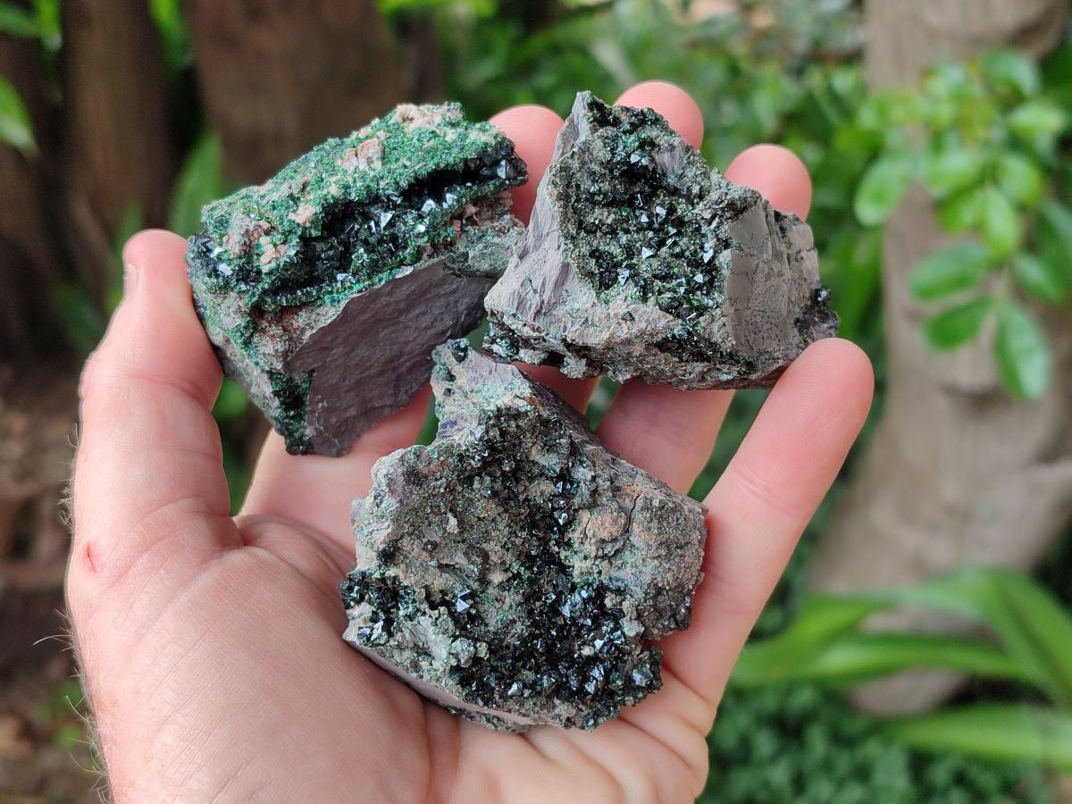 Natural Libethenite Crystals On Dolomite Matrix Specimens x 7 From Shituru, Congo