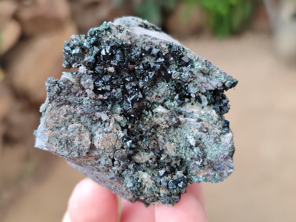 Natural Libethenite Crystals On Dolomite Matrix Specimens x 7 From Shituru, Congo