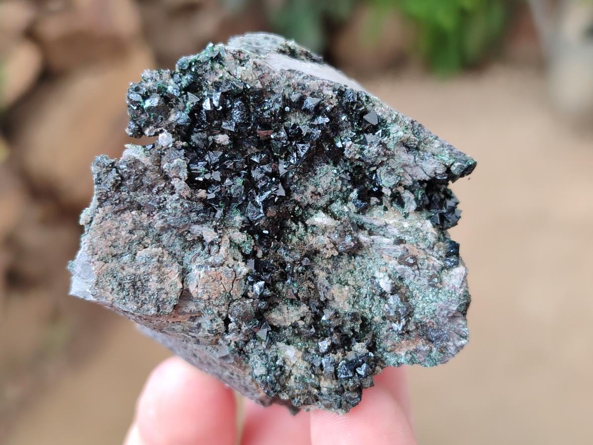 Natural Libethenite Crystals On Dolomite Matrix Specimens x 7 From Shituru, Congo