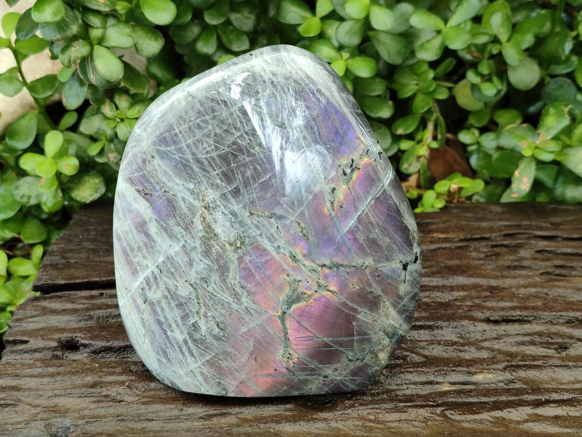 Polished Labradorite Standing Free Form x 1 From Madagascar