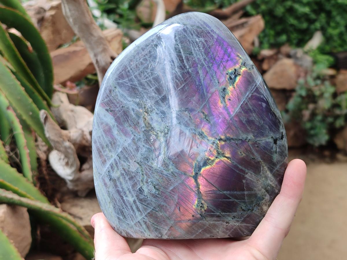 Polished Labradorite Standing Free Form x 1 From Madagascar