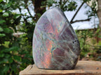 Polished Labradorite Standing Free Form x 1 From Madagascar