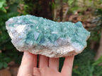 Natural Cubic Green Fluorite Cluster Specimens x 2 From Mandrosonoro, Madagascar