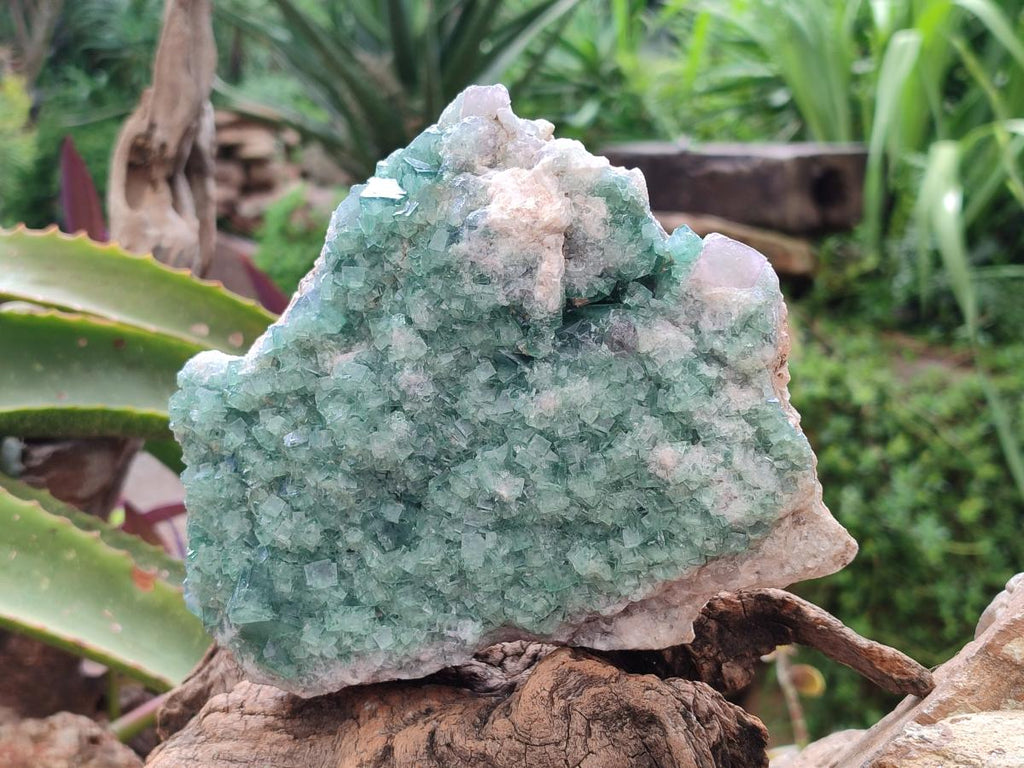 Natural Cubic Green Fluorite Cluster Specimens x 2 From Mandrosonoro, Madagascar