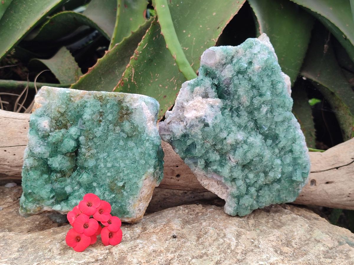 Natural Cubic Green Fluorite Cluster Specimens x 2 From Mandrosonoro, Madagascar