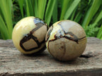 Polished Septerye Spheres x 2 From Mahajanga, Madagascar