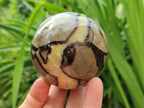 Polished Septerye Spheres x 2 From Mahajanga, Madagascar