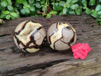 Polished Septerye Spheres x 2 From Mahajanga, Madagascar