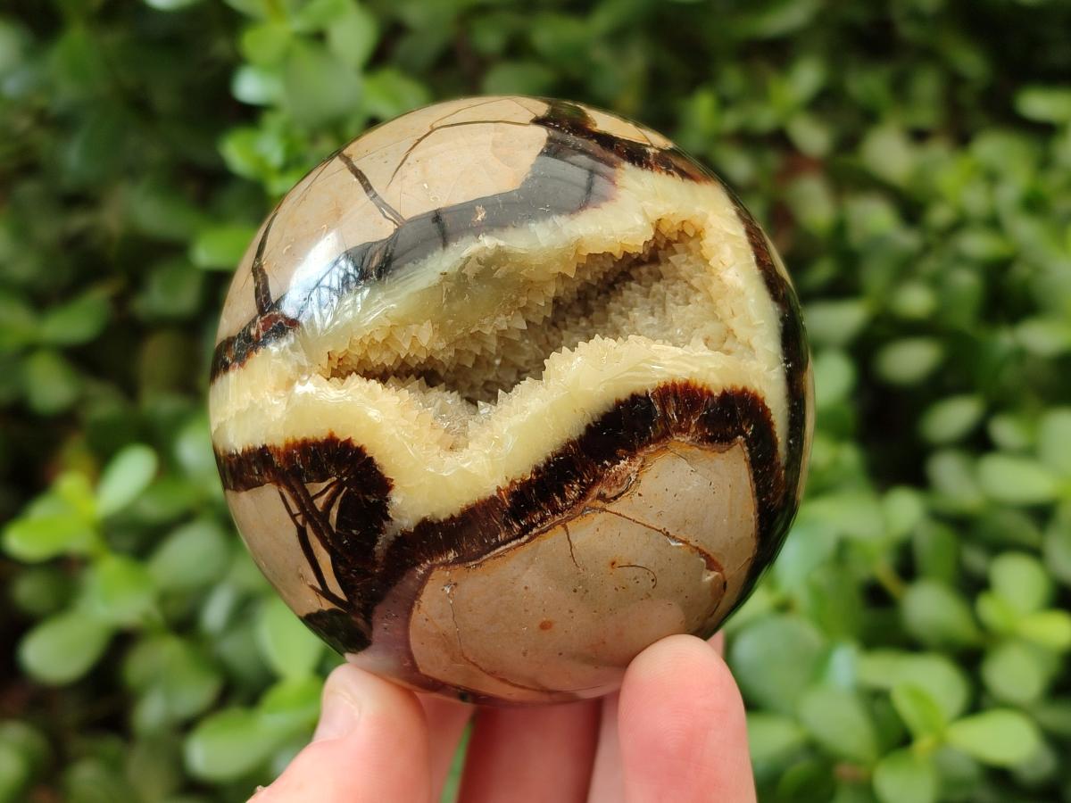 Polished Septerye Spheres x 2 From Mahajanga, Madagascar