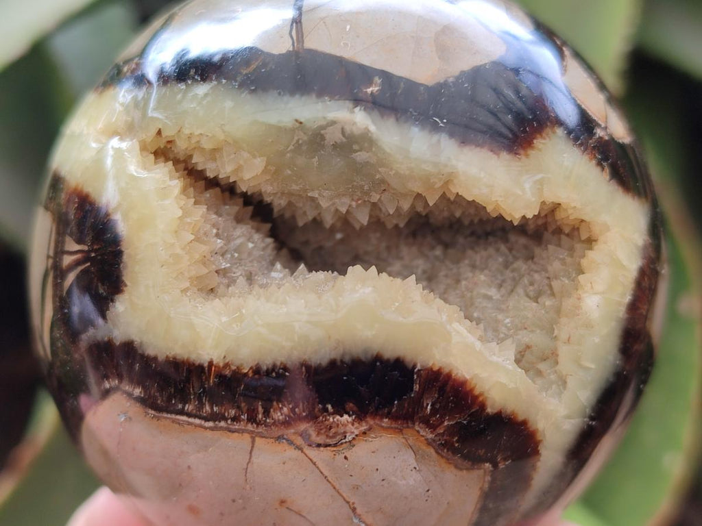Polished Septerye Spheres x 2 From Mahajanga, Madagascar