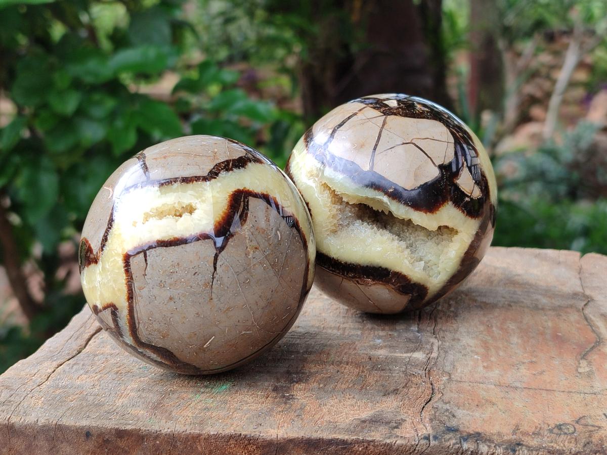 Polished Septerye Spheres x 2 From Mahajanga, Madagascar