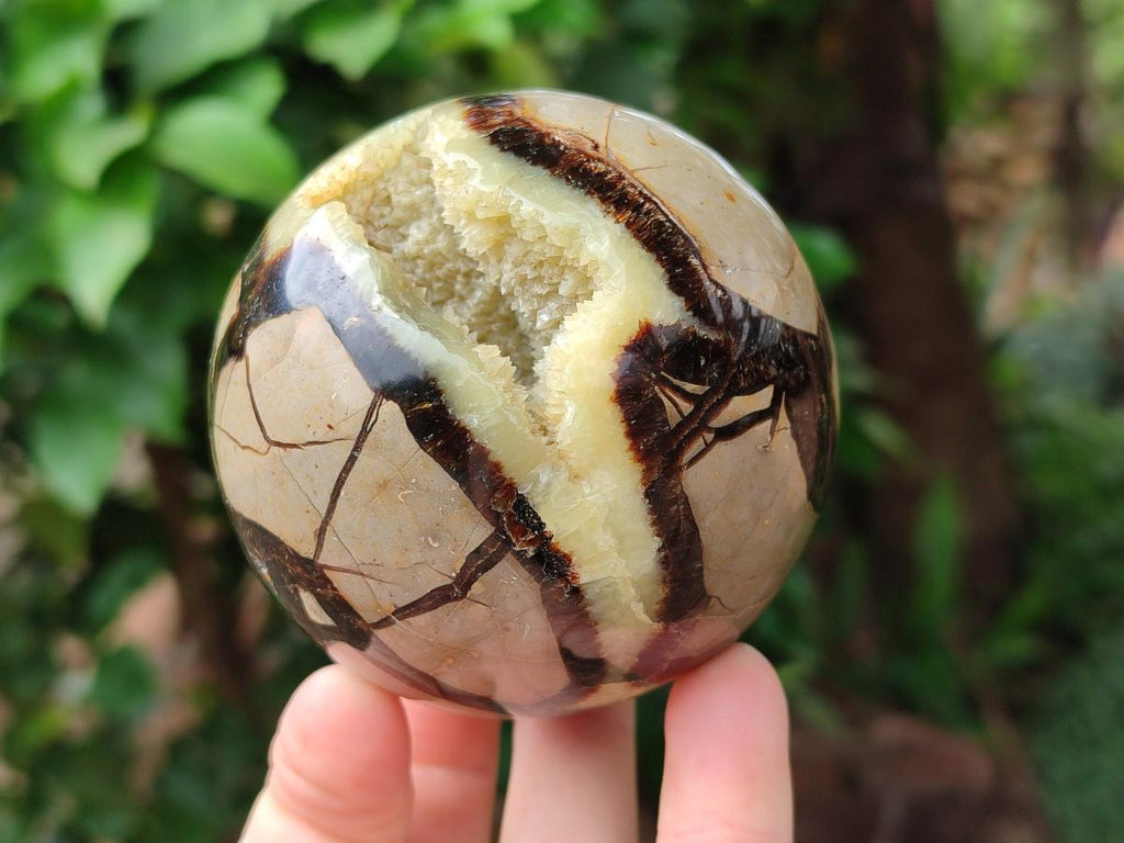 Polished Septerye Spheres x 2 From Mahajanga, Madagascar