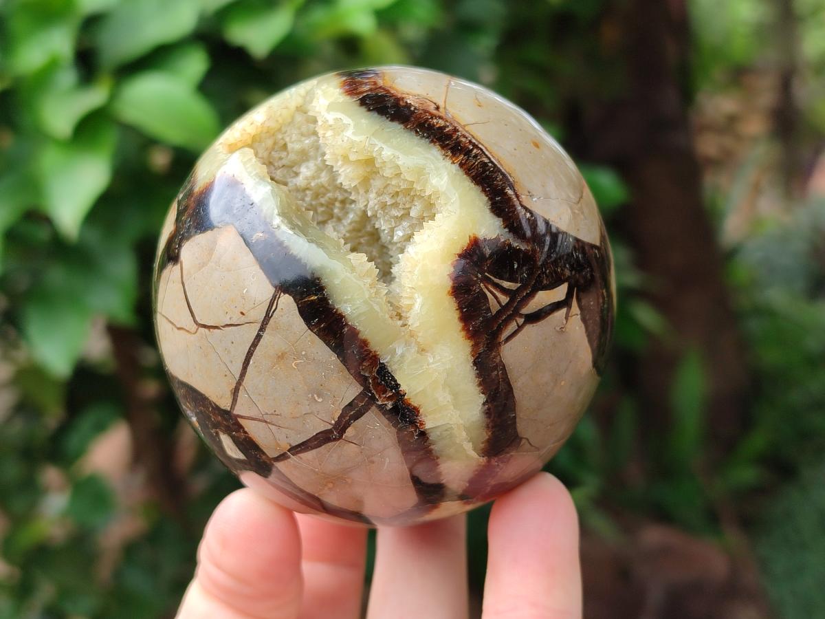 Polished Septerye Spheres x 2 From Mahajanga, Madagascar