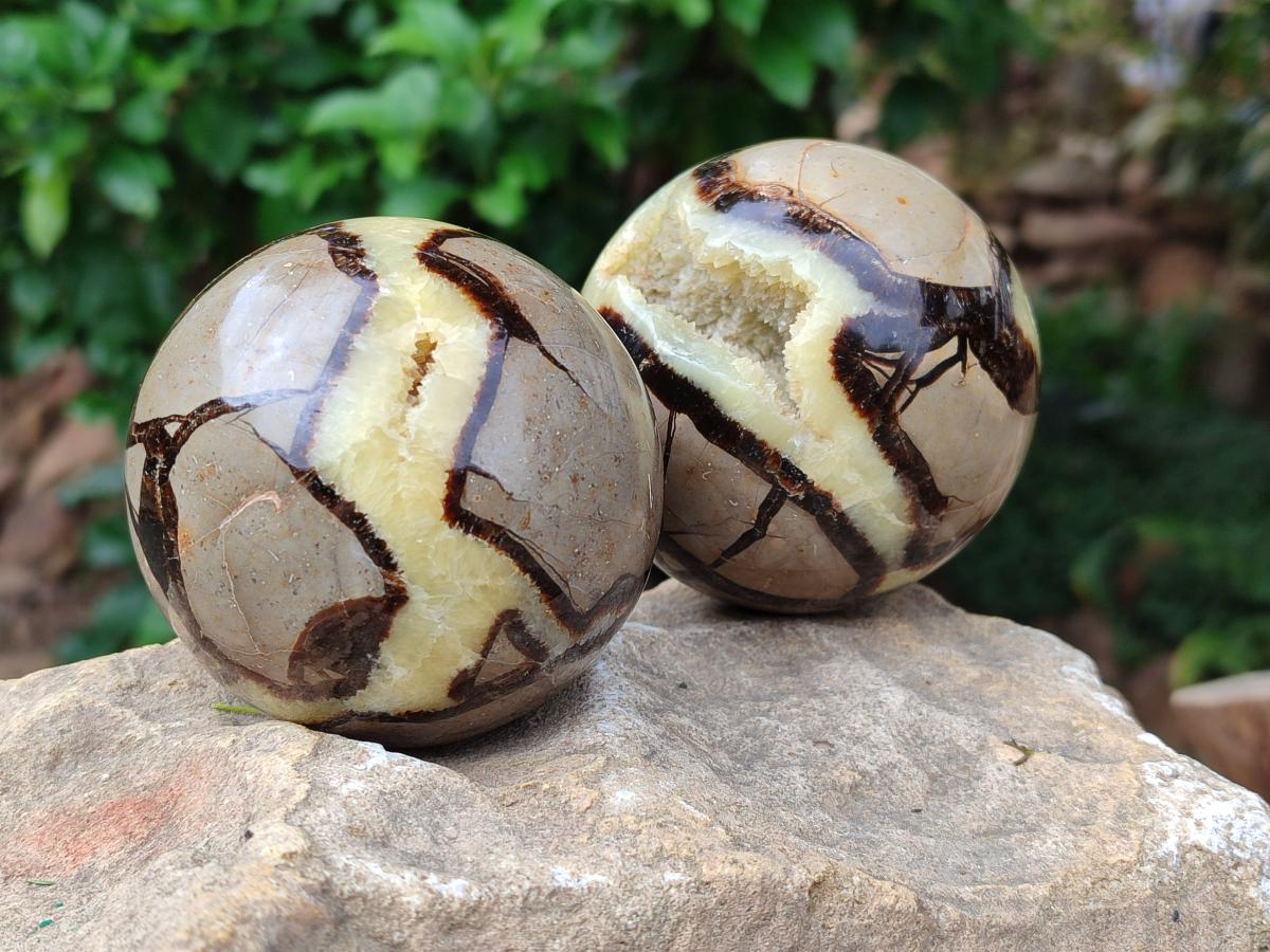 Polished Septerye Spheres x 2 From Mahajanga, Madagascar