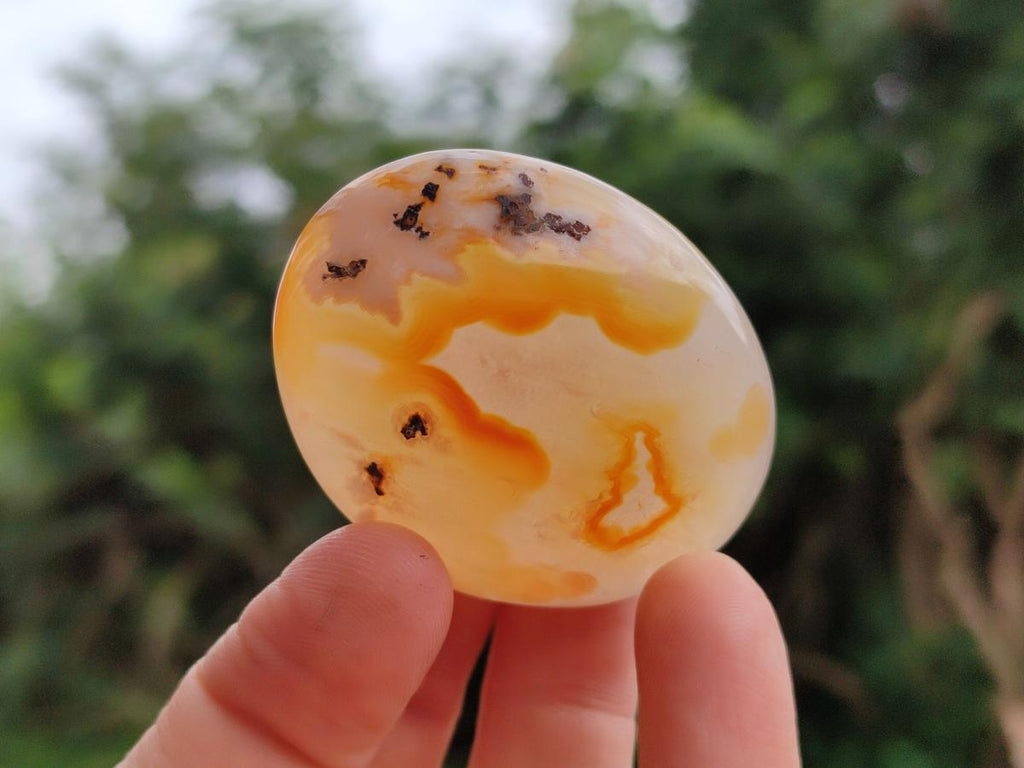 Polished Flower Agate Palm Stones x 25 From Antsahalova, Madagascar