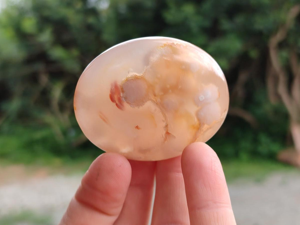 Polished Flower Agate Palm Stones x 25 From Antsahalova, Madagascar