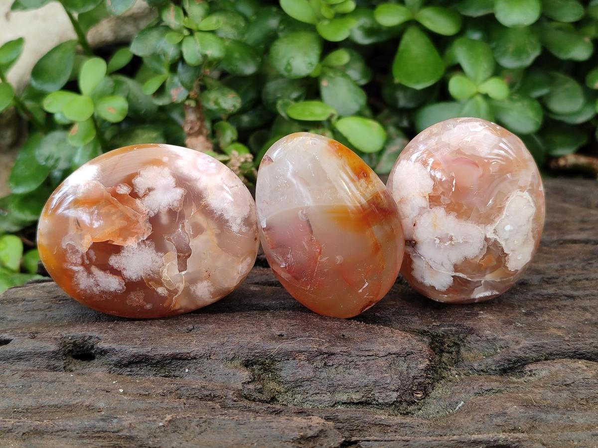 Polished Flower Agate Palm Stones x 25 From Antsahalova, Madagascar