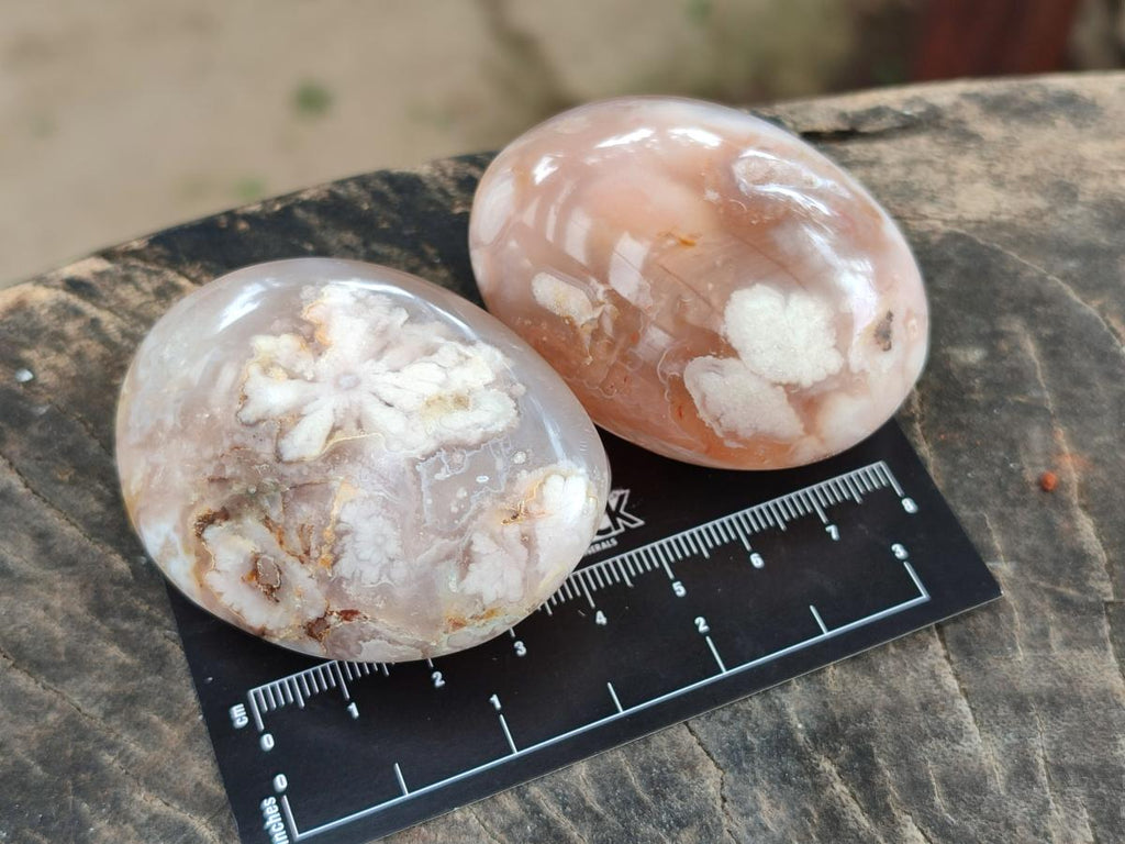 Polished Flower Agate Palm Stones x 25 From Antsahalova, Madagascar