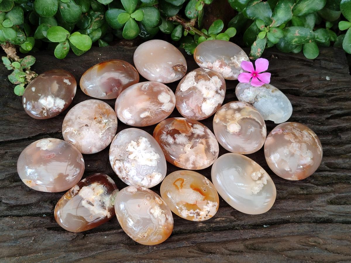 Polished Flower Agate Palm Stones x 25 From Antsahalova, Madagascar