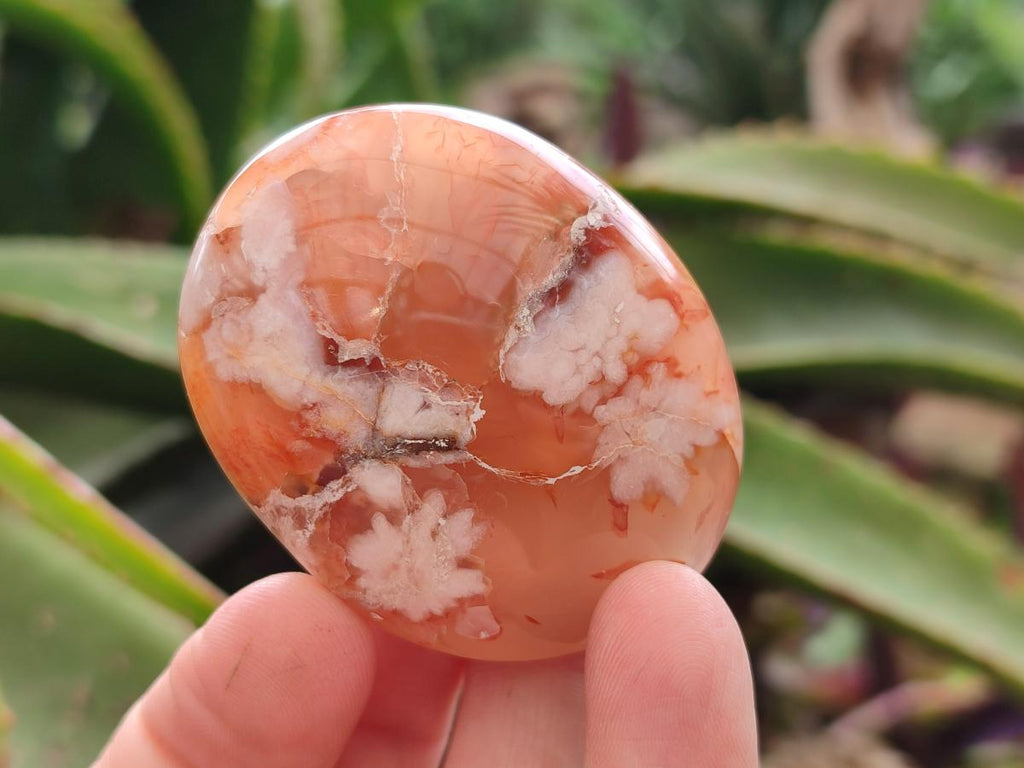 Polished Flower Agate Palm Stones x 25 From Antsahalova, Madagascar