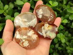 Polished Flower Agate Palm Stones x 25 From Antsahalova, Madagascar
